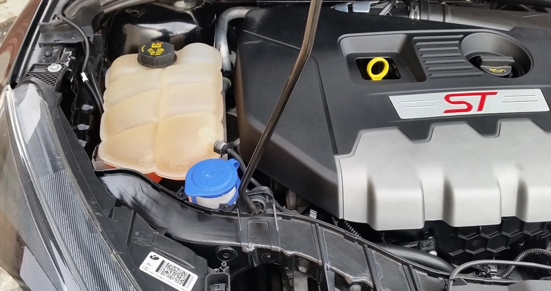 Ford Focus cena 65900 przebieg: 71100, rok produkcji 2018 z Rzeszów małe 742
